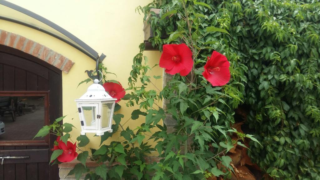 Cascina Bricco Lägenhet Ovada Rum bild