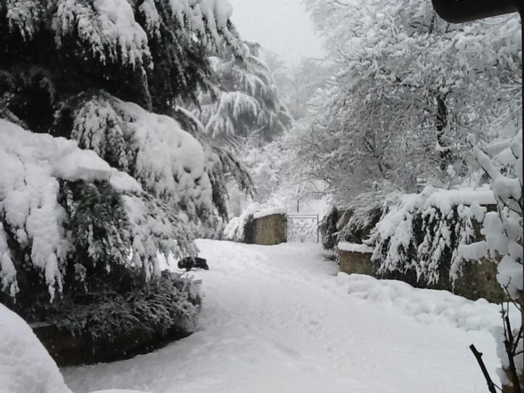 Cascina Bricco Lägenhet Ovada Exteriör bild