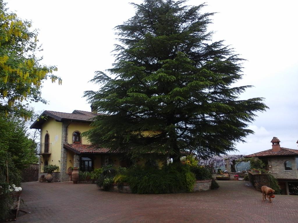 Cascina Bricco Lägenhet Ovada Exteriör bild